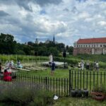Sandomierscy dominikanie i lokalne winiarstwo mają 800 lat - Radio Kielce 18.07.2026. Sandomierz. Piknik winiarski w ramach Festiwalu Dookoła Wody / Fot. Grażyna Szlęzak-Wójcik – Radio Kielce