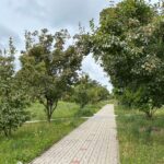 07.07.2026. Kielce. Os. Świętokrzyskie / Fot. Marcin Marszałek - Radio Kielce