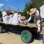 Staropolskie żniwa odtworzono w Sandomierzu - Radio Kielce 25.07.2026. Nadbrzezie. Staropolskie żniwa / Fot. Grażyna Szlęzak-Wójcik - Radio Kielce