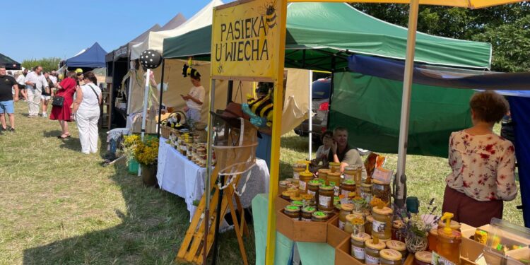 Święto pszczelarzy i kół łowieckich - Radio Kielce 26.07.2026. Sandomierz. 5. Powiatowe Święto Miodu i Dziczyzny / Fot. Grażyna Szlęzak-Wójcik - Radio Kielce