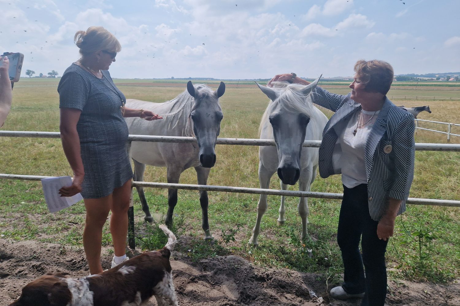 Konie i gospodynie w szlachetnej rywalizacji. W Michałowie uczta dla ducha i ciała - Radio Kielce Fot. Marzena Smoręda