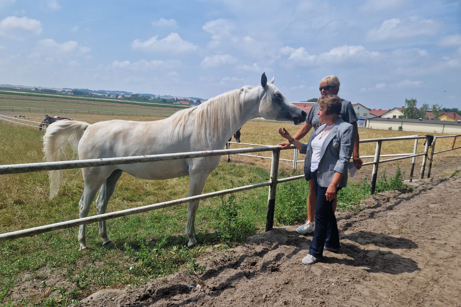 Konie i gospodynie w szlachetnej rywalizacji. W Michałowie uczta dla ducha i ciała - Radio Kielce Fot. Marzena Smoręda