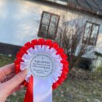 Szlak Konny im. Andrzeja Osadzińskiego, który prowadzi przez malownicze tereny Nadleśnictwa Włoszczowa / Fot. Fundacja im. Roberta Jedliczki
