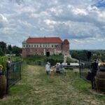 Sandomierscy dominikanie i lokalne winiarstwo mają 800 lat - Radio Kielce Sandomierscy dominikanie i lokalne winiarstwo mają 800 lat