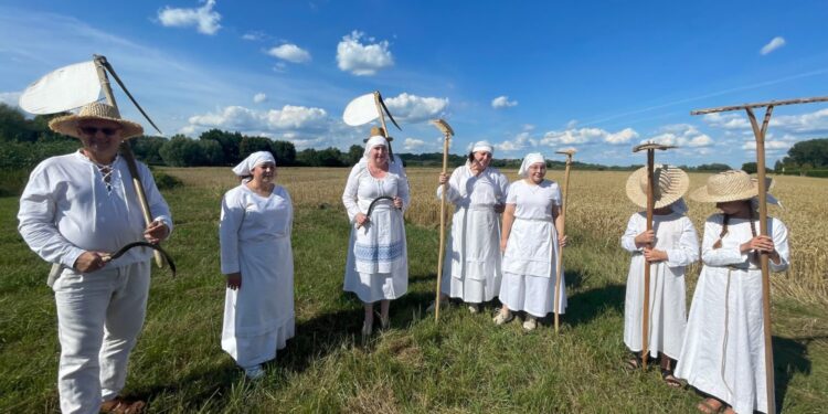Staropolskie żniwa odtworzono w Sandomierzu - Radio Kielce Staropolskie żniwa odtworzono w Sandomierzu