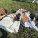 Staropolskie żniwa odtworzono w Sandomierzu - Radio Kielce 25.07.2026. Nadbrzezie. Staropolskie żniwa / Fot. Grażyna Szlęzak-Wójcik - Radio Kielce
