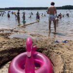 Słoneczna pogoda przyciągnęła do Sielpi tłumy - Radio Kielce 26.07.2026. Sielpia zalew / Fot. Magdalena Galas-Klusek - Radio Kielce