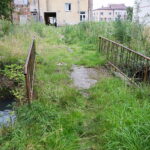 21.07.2026. Działoszyce. Regularnie zalewane ulice, woda wdzierająca się do budynków i wieloletnie oczekiwanie na rozwiązanie problemu. Z taką rzeczywistością od lat mierzą się mieszkańcy części Działoszyc, w tym lokatorzy jednego z komunalnych bloków w centrum miasta / Fot. Wiktor Taszłow – Radio Kielce