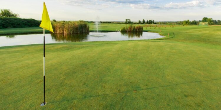 Na skraju miasta powstanie pole golfowe - Radio Kielce Na skraju miasta powstanie pole golfowe