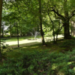 Czarnolas. Park / Fot. Magdalena Galas-Klusek – Radio Kielce