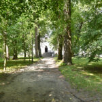 Czarnolas. Park / Fot. Magdalena Galas-Klusek – Radio Kielce