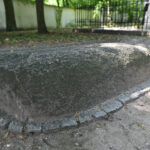Czarnolas. Park / Fot. Magdalena Galas-Klusek – Radio Kielce
