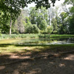 Czarnolas. Park / Fot. Magdalena Galas-Klusek – Radio Kielce