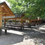 Marcule. Arboretum / Fot. Magdalena Galas-Klusek – Radio Kielce