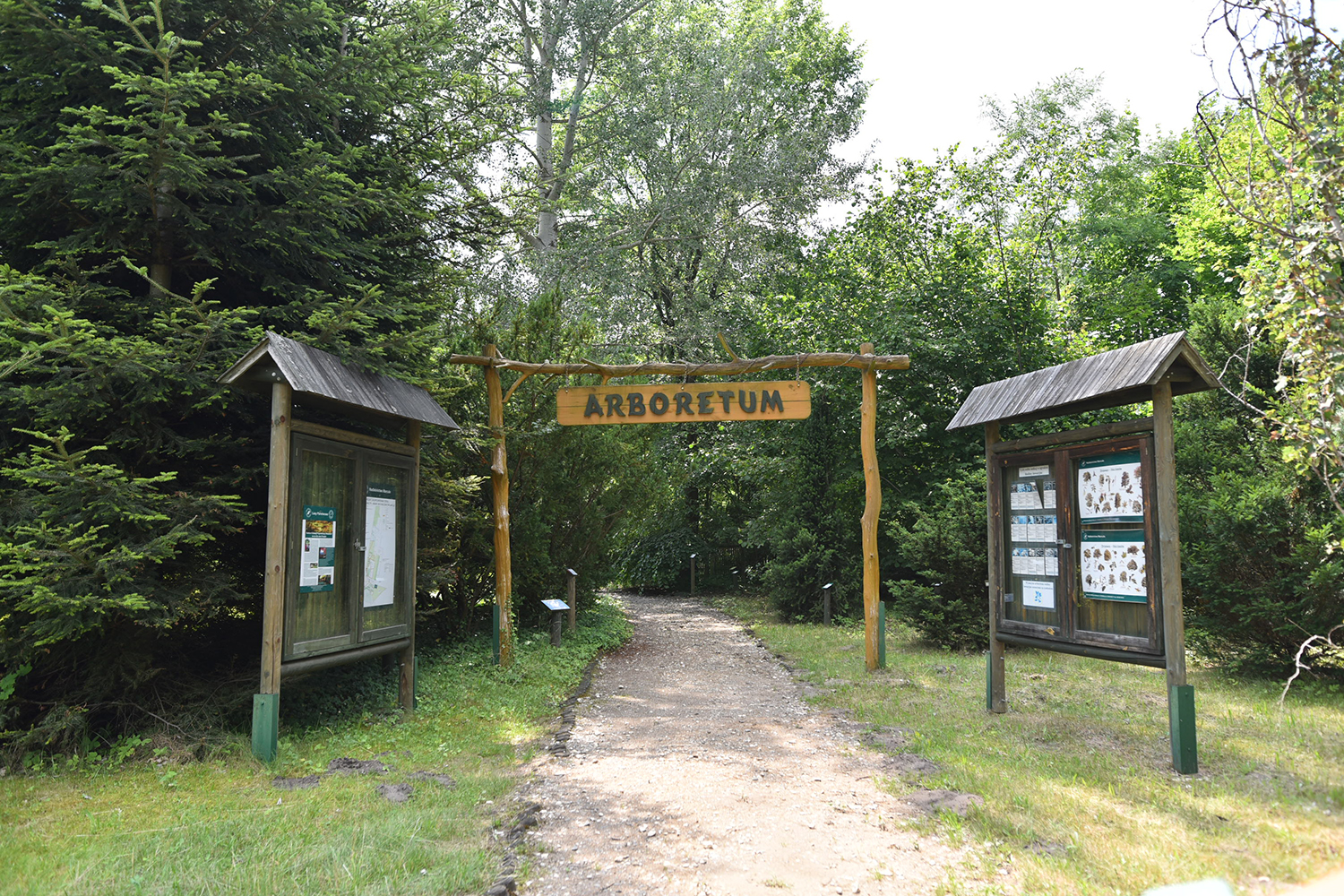 Marcule. Arboretum / Fot. Magdalena Galas-Klusek – Radio Kielce
