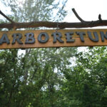 Marcule. Arboretum / Fot. Magdalena Galas-Klusek – Radio Kielce