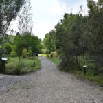 Marcule. Arboretum / Fot. Magdalena Galas-Klusek – Radio Kielce