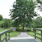Marcule. Arboretum / Fot. Magdalena Galas-Klusek – Radio Kielce