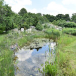 Marcule. Arboretum / Fot. Magdalena Galas-Klusek – Radio Kielce