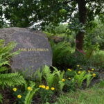 Marcule. Arboretum / Fot. Magdalena Galas-Klusek – Radio Kielce