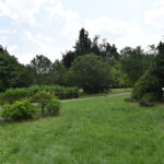 Marcule. Arboretum / Fot. Magdalena Galas-Klusek – Radio Kielce