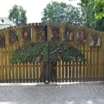 Marcule. Arboretum / Fot. Magdalena Galas-Klusek – Radio Kielce