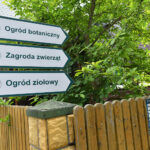 Marcule. Arboretum / Fot. Magdalena Galas-Klusek – Radio Kielce