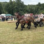 Zimnokrwiste konie rywalizowały w Radkowicach - Radio Kielce 04.07.2026. Pawłów. II Świętokrzyskie Zawody Furmanów / Fot. Anna Głąb - Radio Kielce