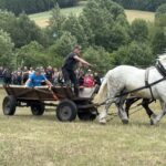 Zimnokrwiste konie rywalizowały w Radkowicach - Radio Kielce 04.07.2026. Pawłów. II Świętokrzyskie Zawody Furmanów / Fot. Anna Głąb - Radio Kielce