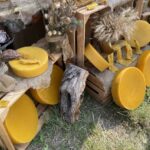 26.07.2026. Sandomierz. 5. Powiatowe Święto Miodu i Dziczyzny / Fot. Grażyna Szlęzak-Wójcik - Radio Kielce