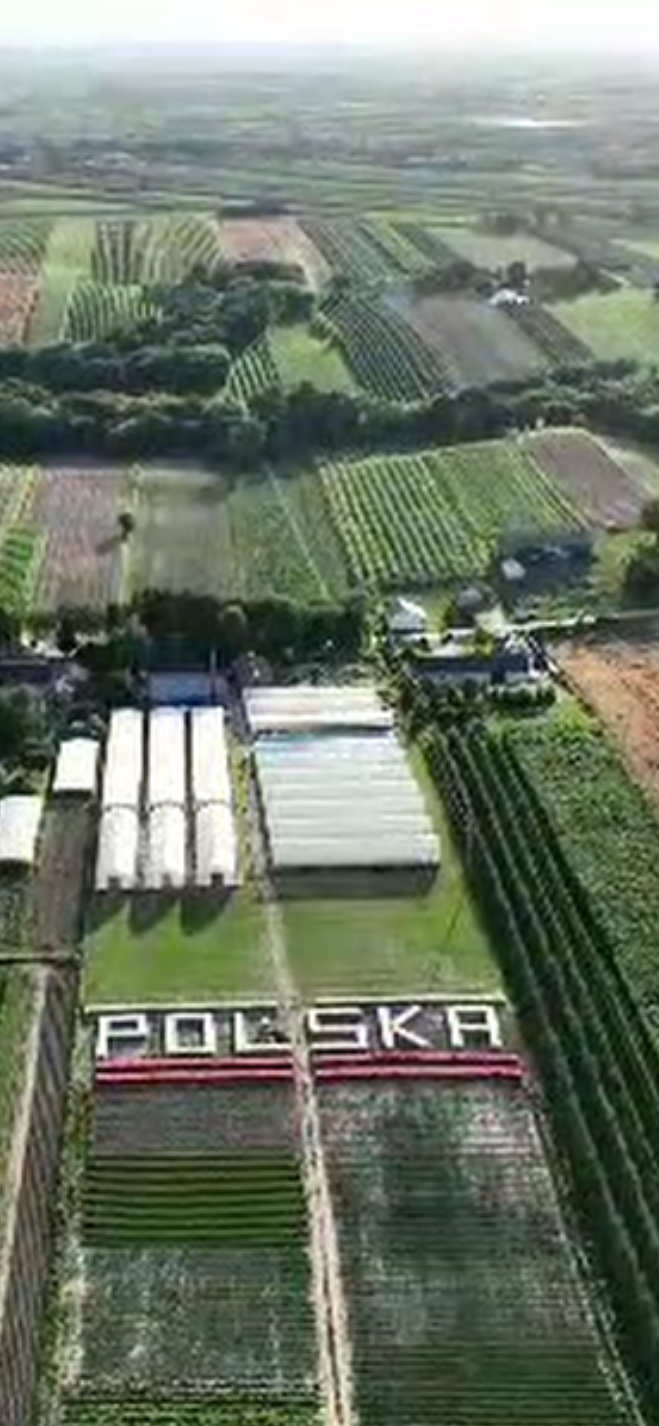 Gigantyczna instalacja patriotyczna zachęca do kupowania polskich produktów - Radio Kielce