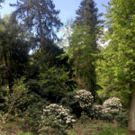 Kórnik – zamek i arboretum - Radio Kielce Kórnik – zamek i arboretum / źródło: Radio Poznań