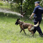 Kielce. Psy policyjne - Radio Kielce