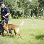 Kielce. Psy policyjne - Radio Kielce
