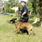 Kielce. Psy policyjne - Radio Kielce