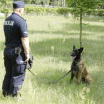 Kielce. Psy policyjne - Radio Kielce