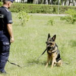 Kielce. Psy policyjne - Radio Kielce