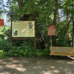 Tomaszów Mazowiecki. Niebieskie Źródła / Fot. Paweł Kwiatkowski – Radio Łódź