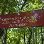 Tomaszów Mazowiecki. Niebieskie Źródła / Fot. Paweł Kwiatkowski – Radio Łódź