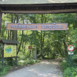 Tomaszów Mazowiecki. Niebieskie Źródła / Fot. Paweł Kwiatkowski – Radio Łódź