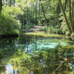 Tomaszów Mazowiecki. Niebieskie Źródła