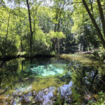Tomaszów Mazowiecki. Niebieskie Źródła
