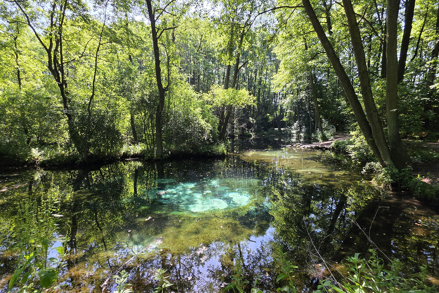 Tomaszów Mazowiecki. Niebieskie Źródła