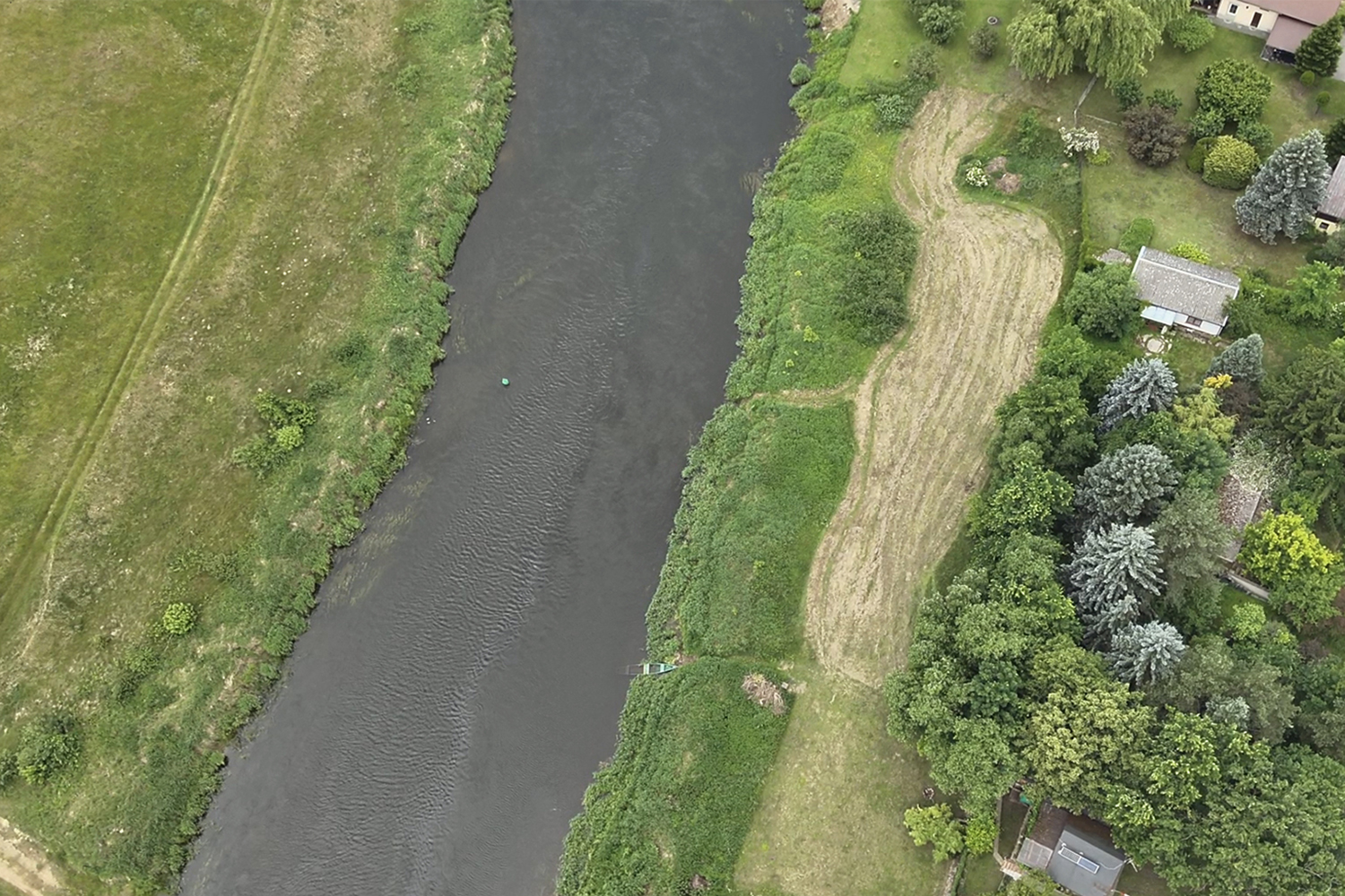 Rzeka Narew