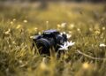 „Świętokrzyżczyzna” szansą dla młodych fotografów - Radio Kielce Świętokrzyżczyzna szansą dla młodych fotografów