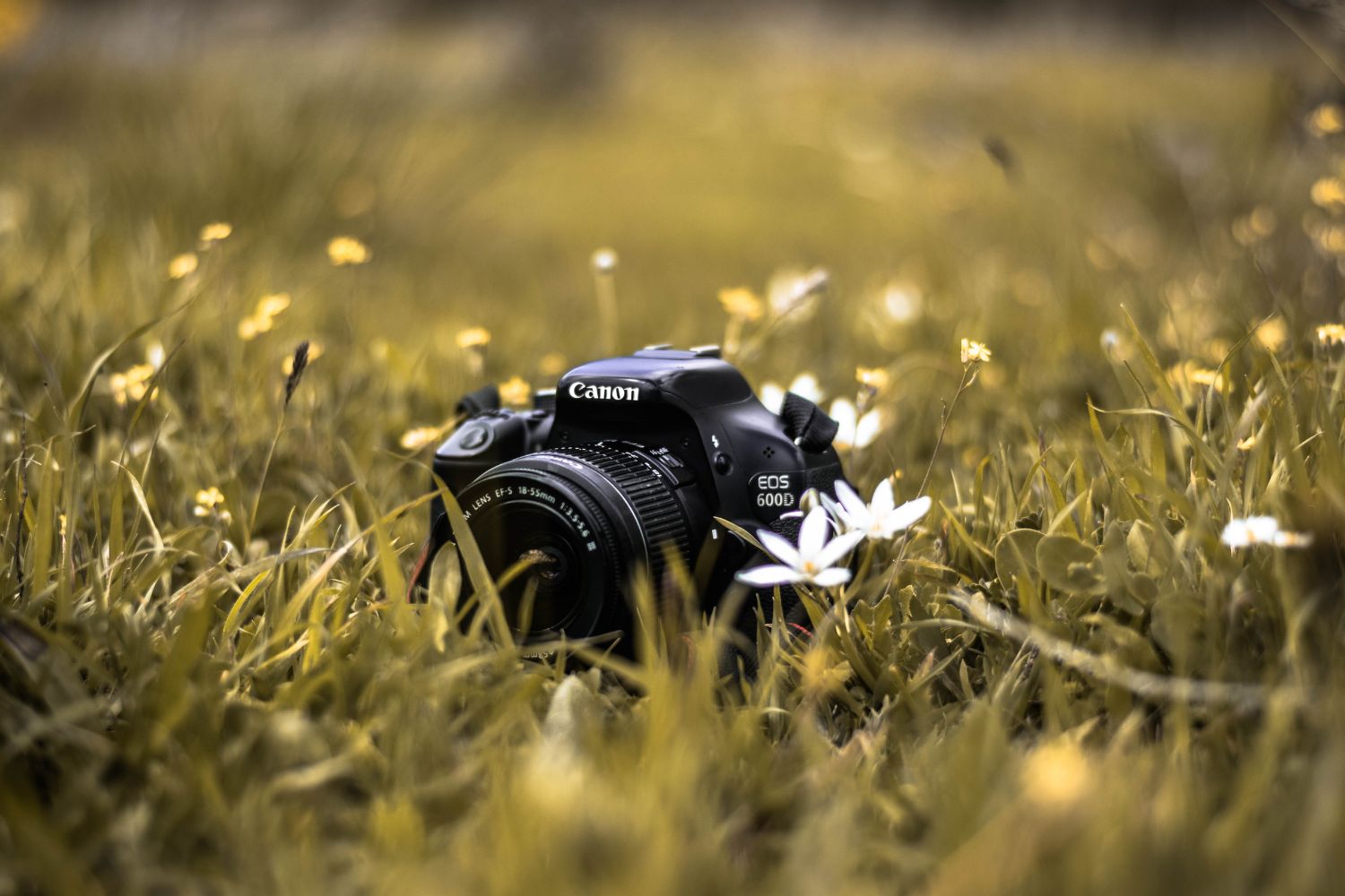 „Świętokrzyżczyzna” szansą dla młodych fotografów