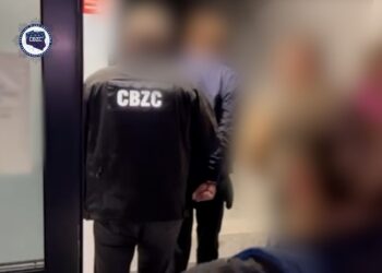 źródło: CBZC