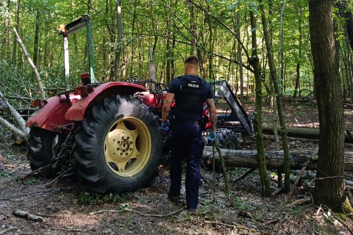 Śmiertelny wypadek podczas prac w lesie