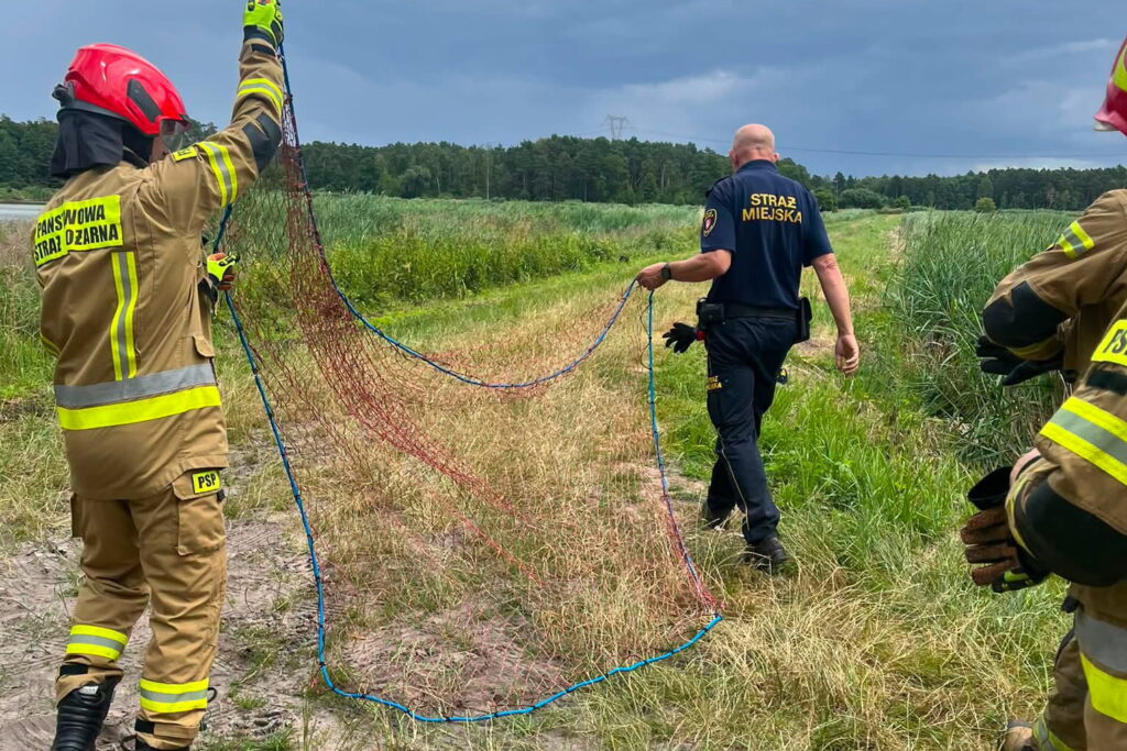Mundurowi uratowali ptaka pod ścisłą ochroną - Radio Kielce Mundurowi uratowali ptaka pod ścisłą ochroną