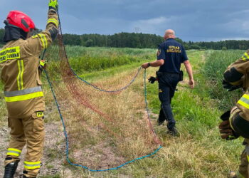 Mundurowi uratowali ptaka pod ścisłą ochroną